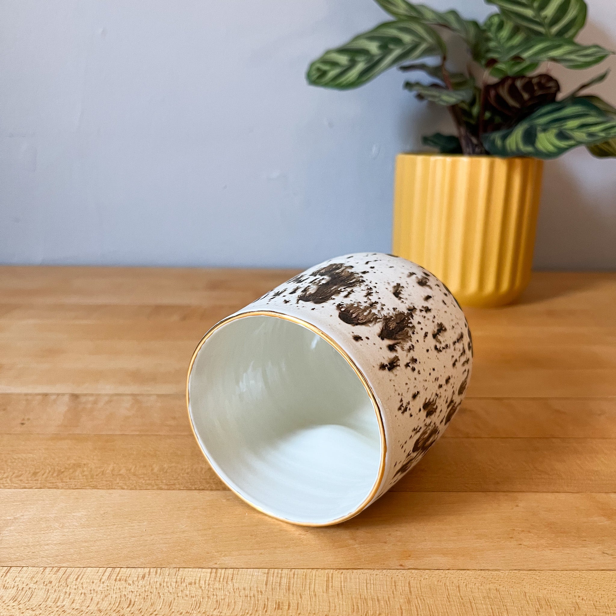 winterwood thumbler 2