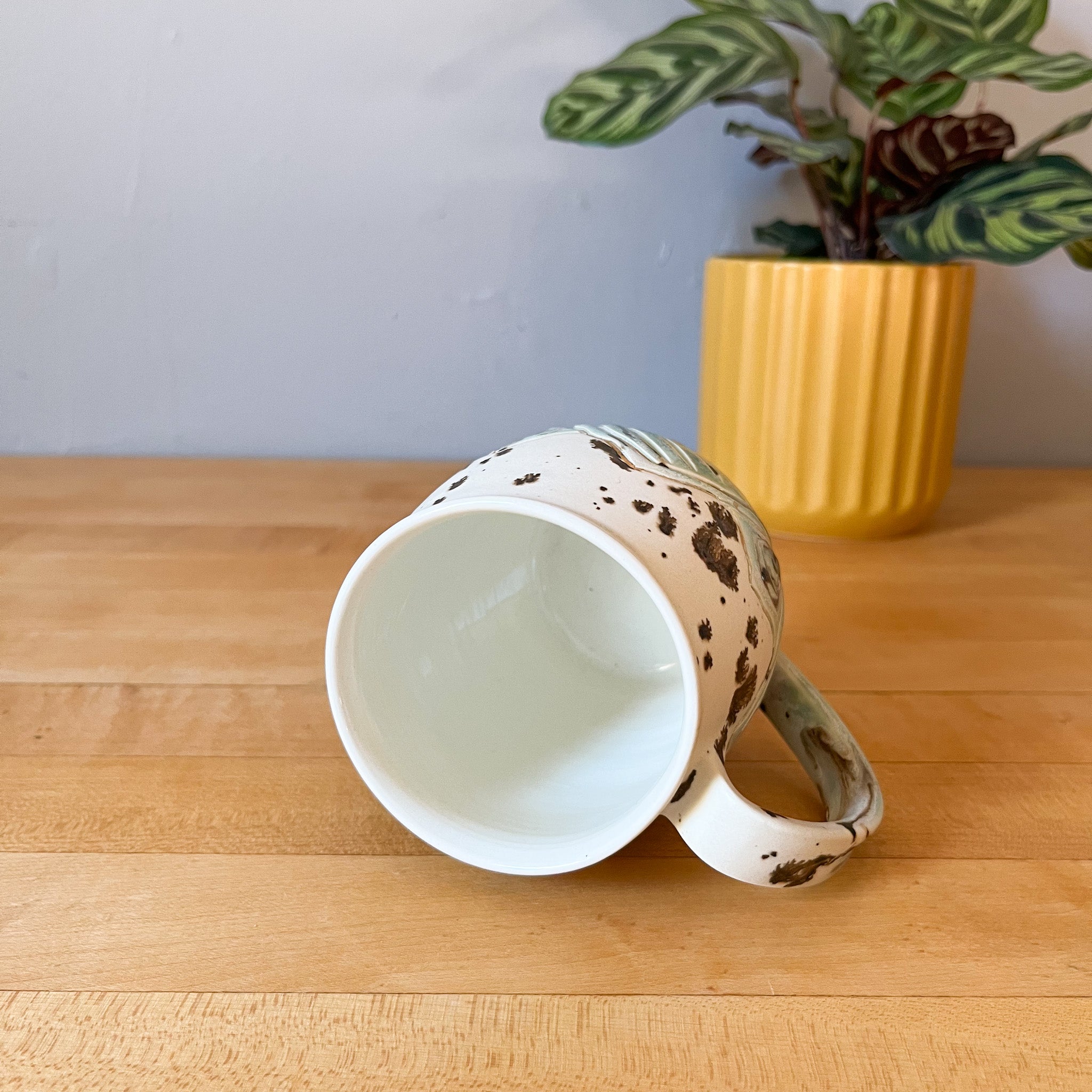 glacial river mountain mug