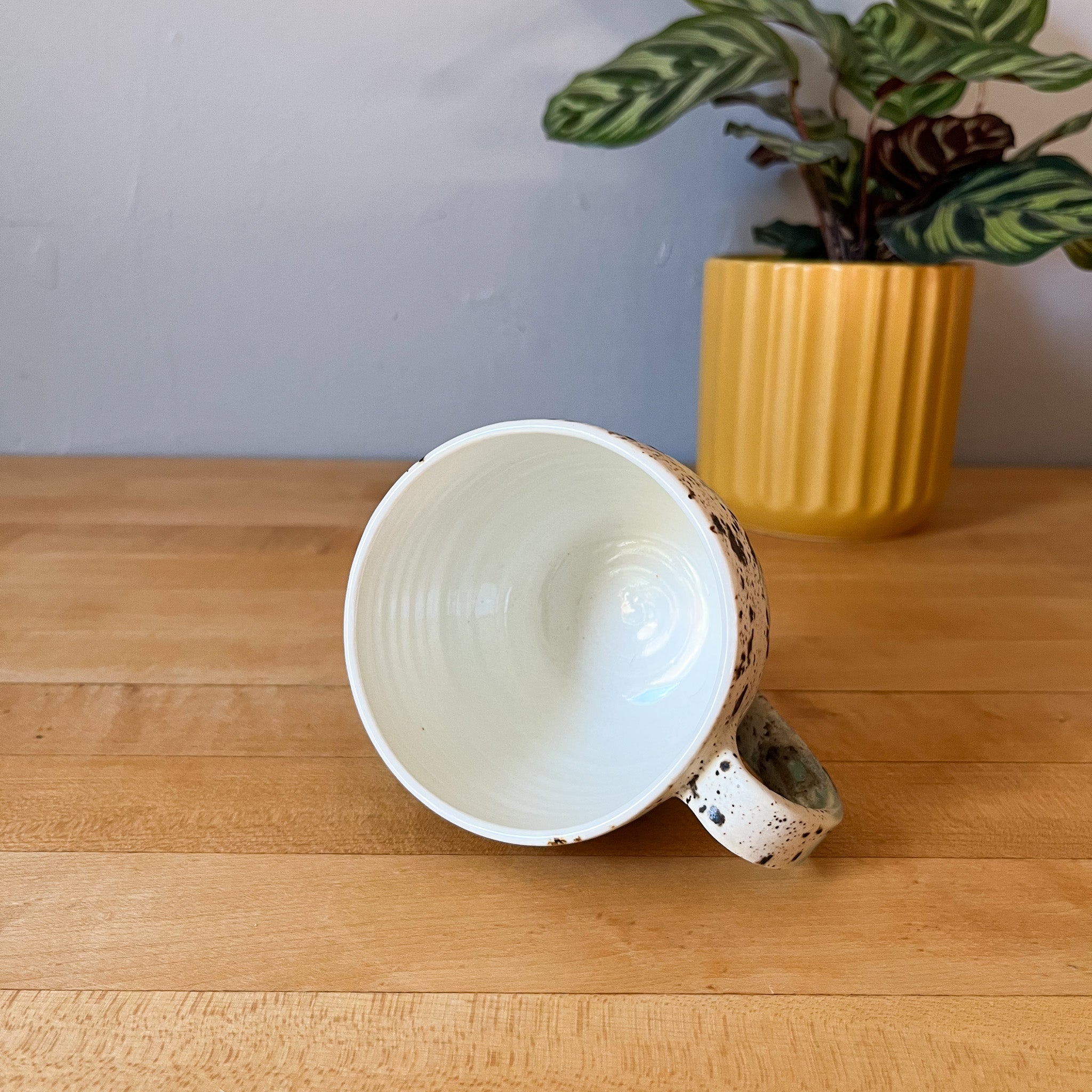 glacial river mountain mug 2