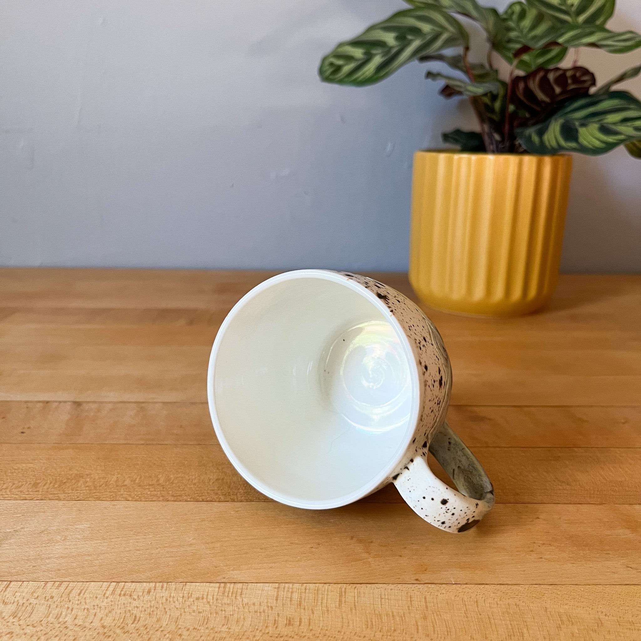 glacial river mountain mug 3