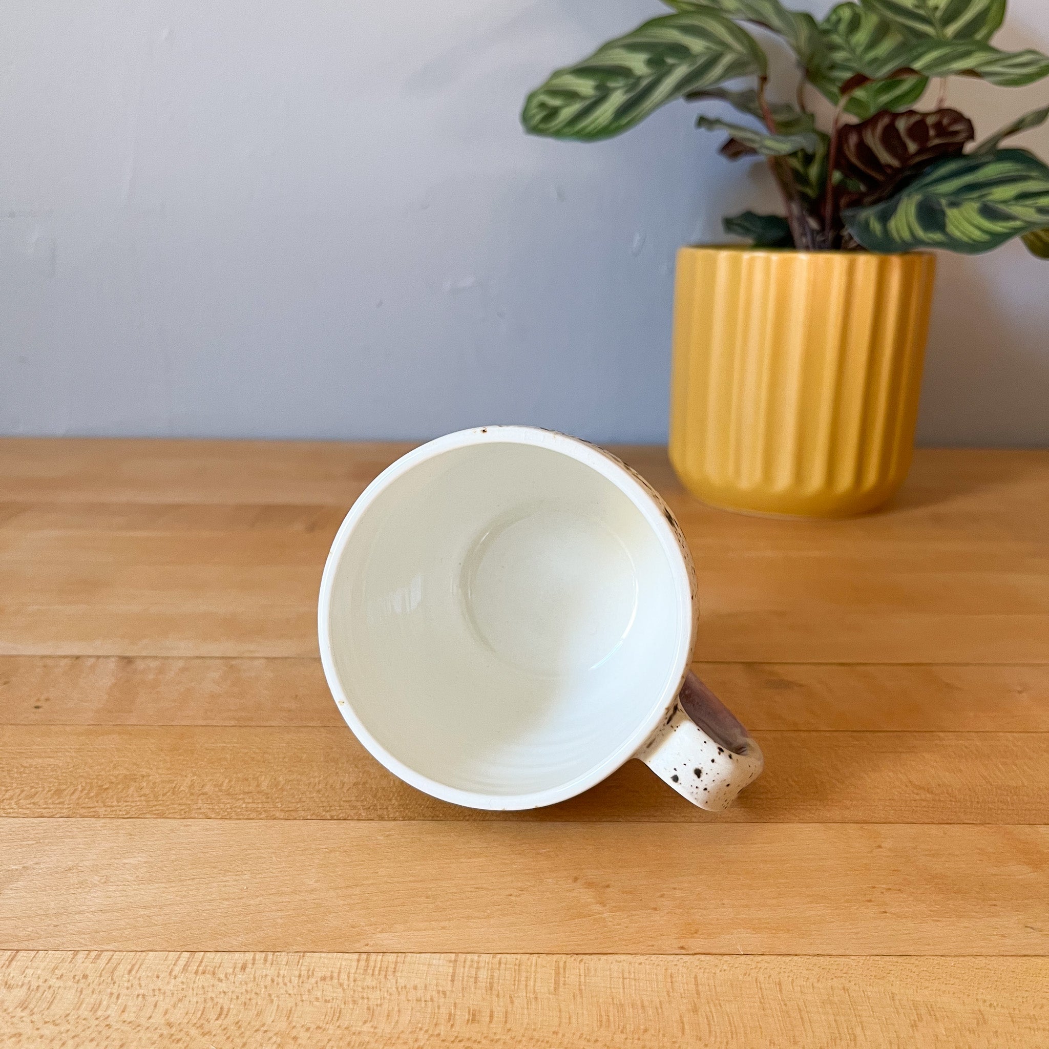 lavender dreams mountain mug 2