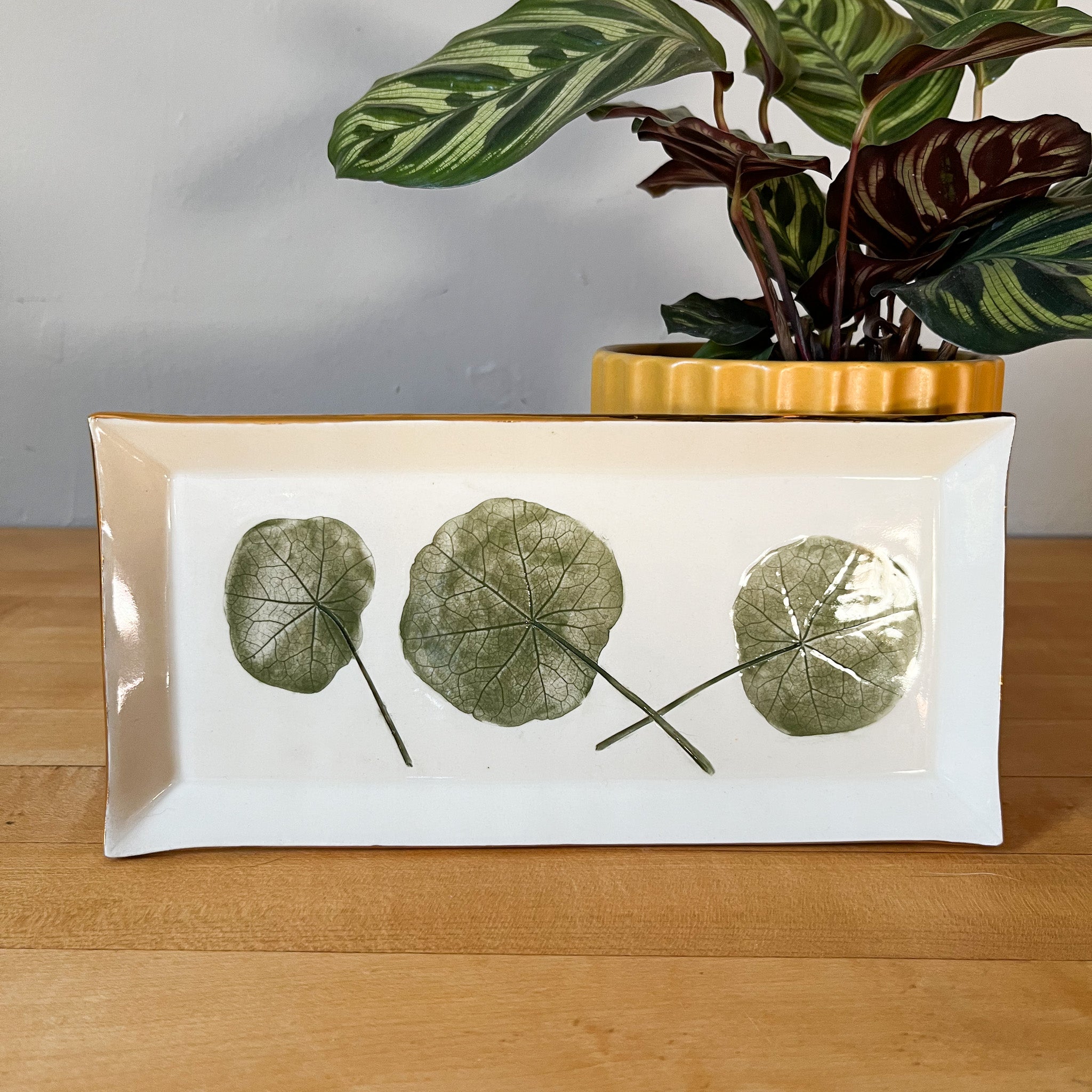nasturtium leaf tray