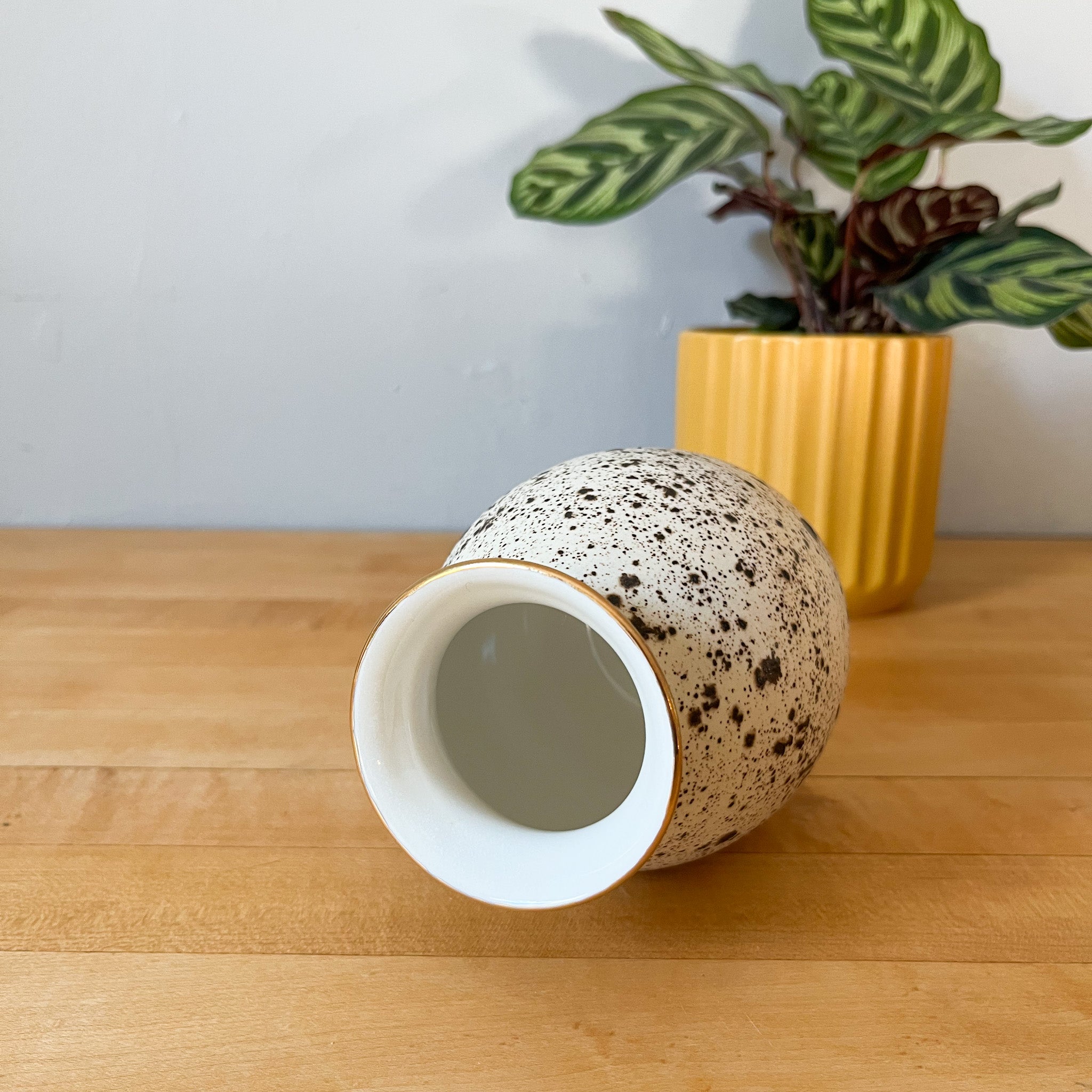winterwood vase