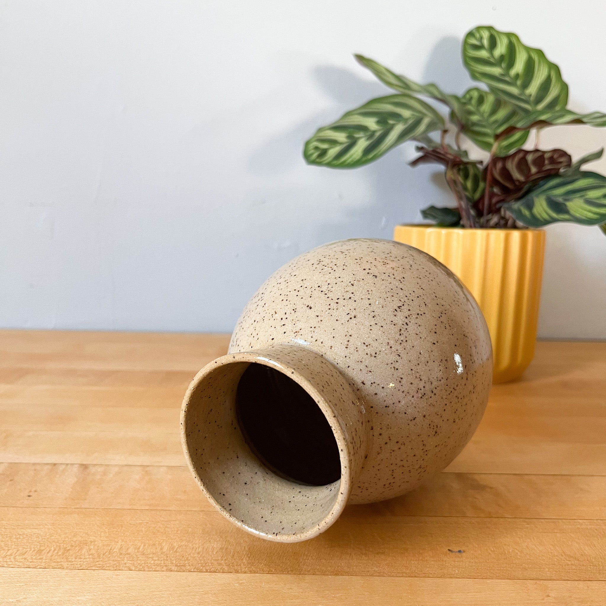 desert speckle vase